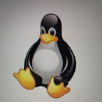 DuckSaver's Avatar'