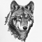 M-K-.'s Avatar'