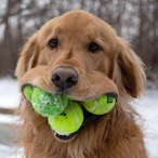 cronus6777's Avatar'