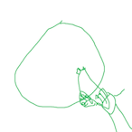 HonkShooter's Avatar'