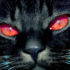 Nudict's Avatar'