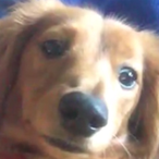 SagginNuts1's Avatar'