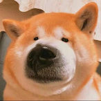 XBaJie's Avatar'