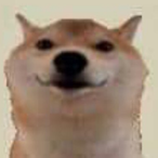 SeetheCopeless's Avatar'