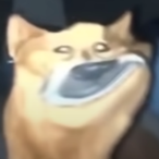 Donski.DEMON's Avatar'