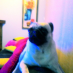 Di123BR's Avatar'
