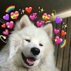 SkidandPump_'s Avatar'