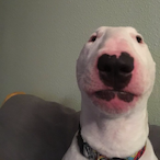 Bubba_D81's Avatar'