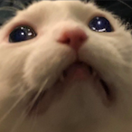 TheNoLeggedOne's Avatar'
