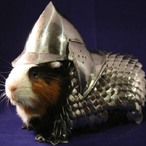 Creaman._.'s Avatar'