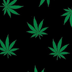 xfreeder2000's Avatar'