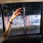 catfang.THC's Avatar'