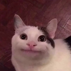 Jjess3's Avatar'