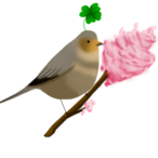 Hectic_Borb's Avatar'