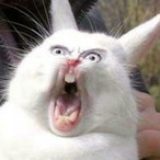 Divinityonline5's Avatar'