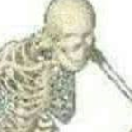Art_Bruno's Avatar'