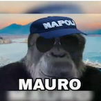 Polloh.PF's Avatar'