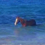 CheeseyPotato97's Avatar'