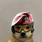 BBC_Pikayune's Avatar'