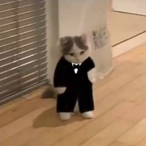 Lexoboolin's Avatar'