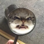 evilmidget02's Avatar'