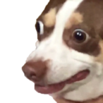 seen._.bean's Avatar'