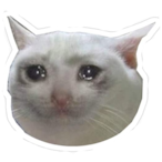 Hades_Poireau1's Avatar'