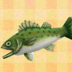 Rorydeadstar's Avatar'