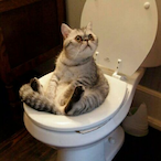 jason_king_troll's Avatar'