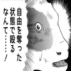 SHlMOTSUKI's Avatar'