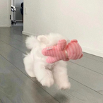 Winnie-'s Avatar'