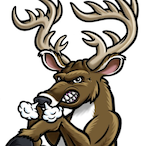 KingBee_ZFG's Avatar'