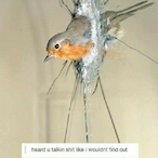 T2_LeGeNdZ9996's Avatar'