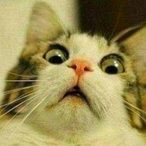 updatooIie's Avatar'