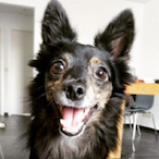 ForceflowBE's Avatar