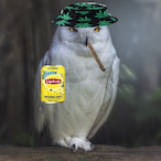 Hazeeule's Avatar'