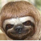 piccione_fumante's Avatar'