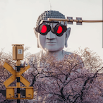 Pink_continent's Avatar'