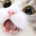 Imainbigpan's Avatar'