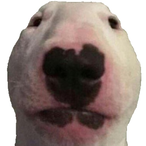 VoteForWalter.'s Avatar'