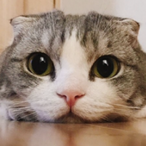 plzhardcarry's Avatar'