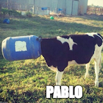 xpablo-escobarX's Avatar'