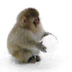 DOPPDucky's Avatar'
