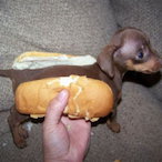 I.eat.bread's Avatar'