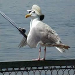 x00its_a_trap's Avatar'
