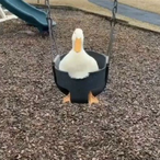 SirDuckyThe3rd's Avatar'