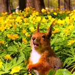 DougieD101's Avatar'