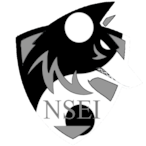 Nsei_Qc's Avatar'