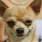 CodFishingOnTop's Avatar'
