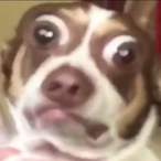 RichieBoi09's Avatar'